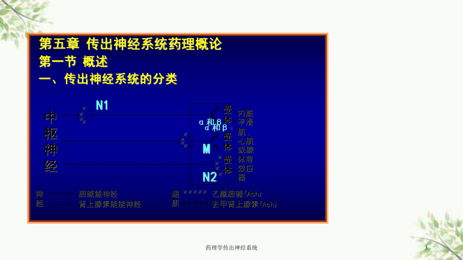 药理学传出神经系统课件.ppt_第3页