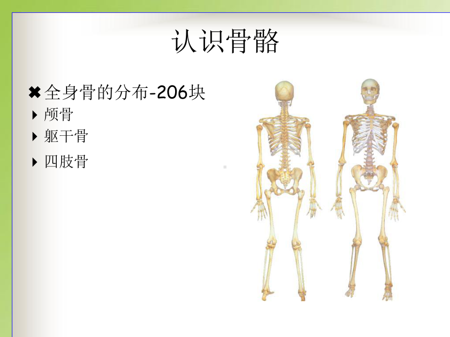 人体解剖生理学课件.ppt_第2页