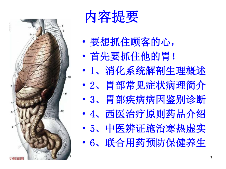 胃部疾病诊断与防治课件.ppt_第3页