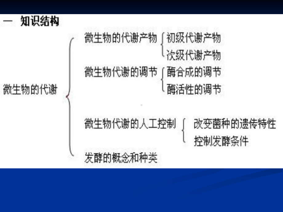 微生物代谢的调节课件.ppt_第2页