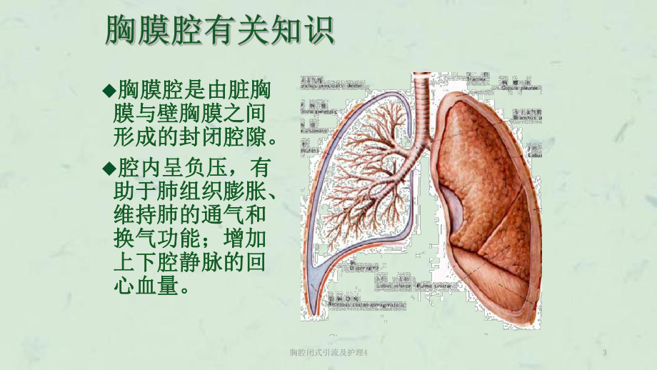 胸腔闭式引流及护理4课件.ppt_第3页