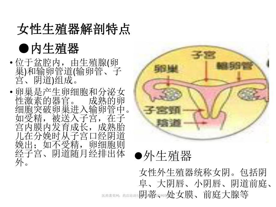 妇科课程(适合新员工)课件.ppt_第1页