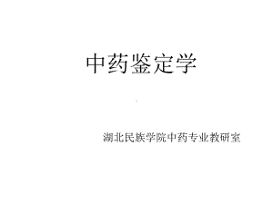 中药鉴定学课件.ppt