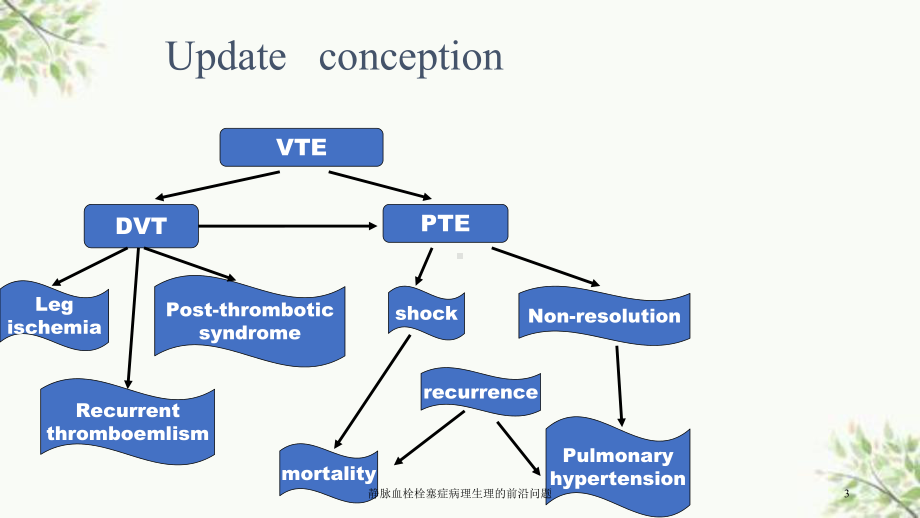 静脉血栓栓塞症病理生理的前沿问题课件.ppt_第3页