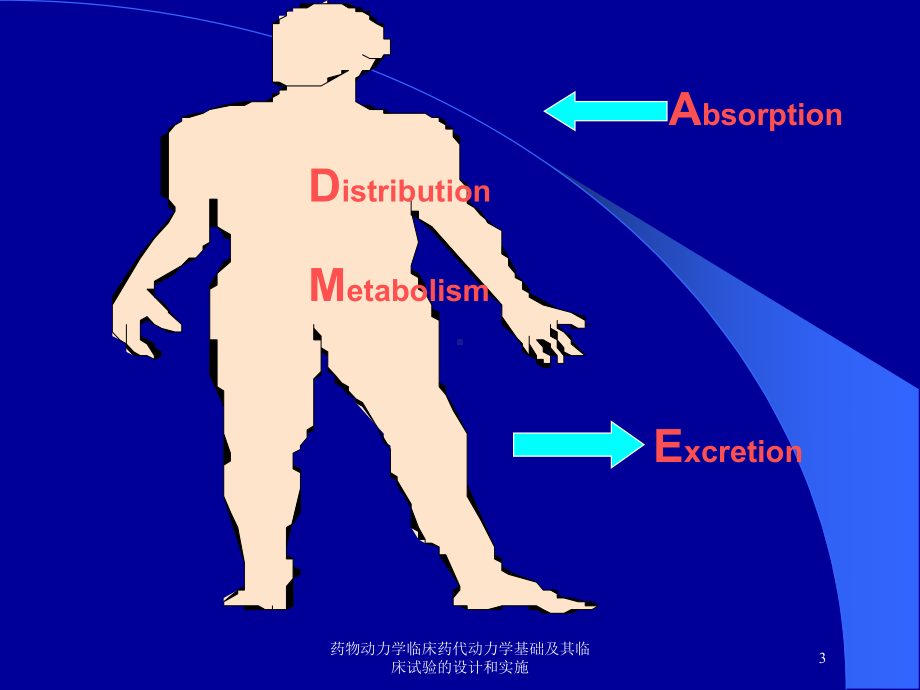 药物动力学临床药代动力学基础及其临床试验的设计和实施培训课件.ppt_第3页