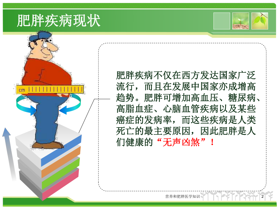 营养和肥胖医学知识培训课件.ppt_第2页