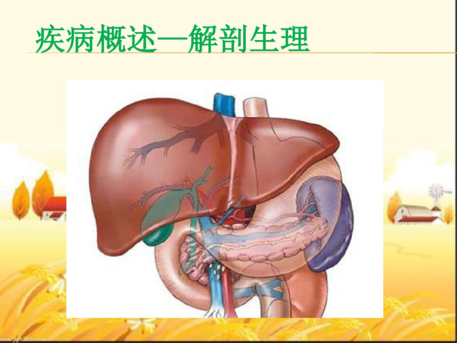 胰腺癌的护理查房课件-2.ppt_第3页