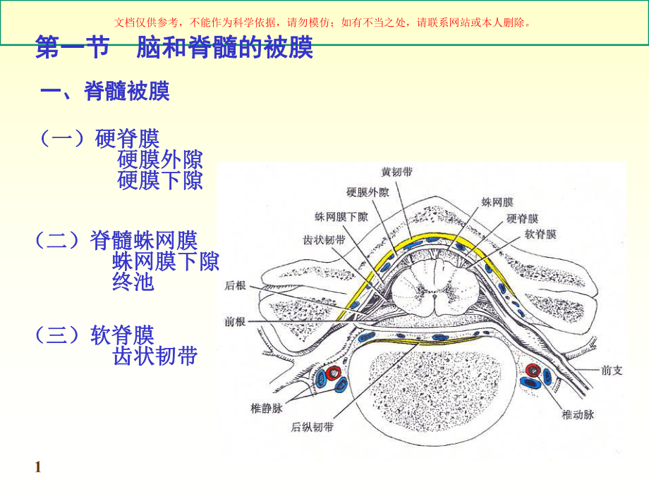 脑脊髓被膜和血管培训课件.ppt_第1页