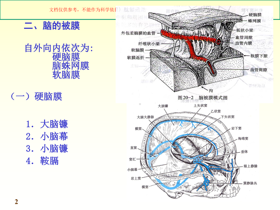 脑脊髓被膜和血管培训课件.ppt_第2页