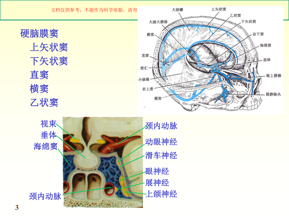 脑脊髓被膜和血管培训课件.ppt_第3页