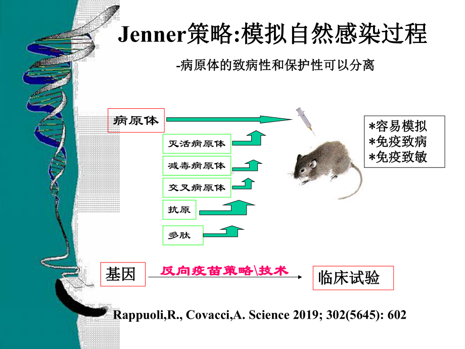 疫苗研究中的的反向疫苗学-共66张课件.ppt_第2页