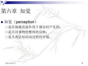 实验心理学第六章-知觉课件.ppt