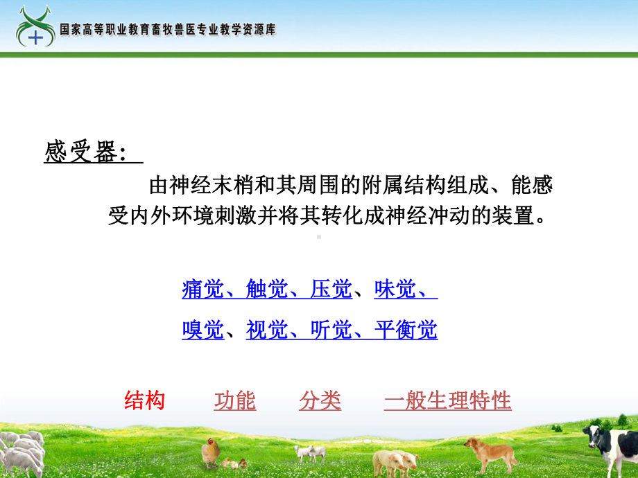 神经系统的感觉机能课件.ppt_第2页