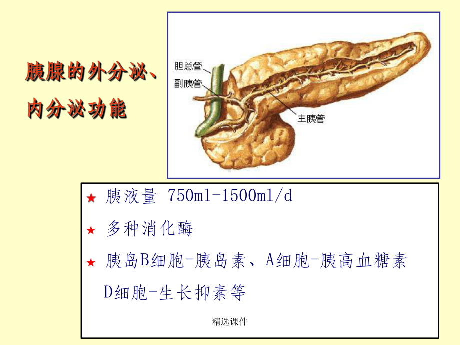 胰腺肿瘤病变的影像学诊断课件.ppt_第3页