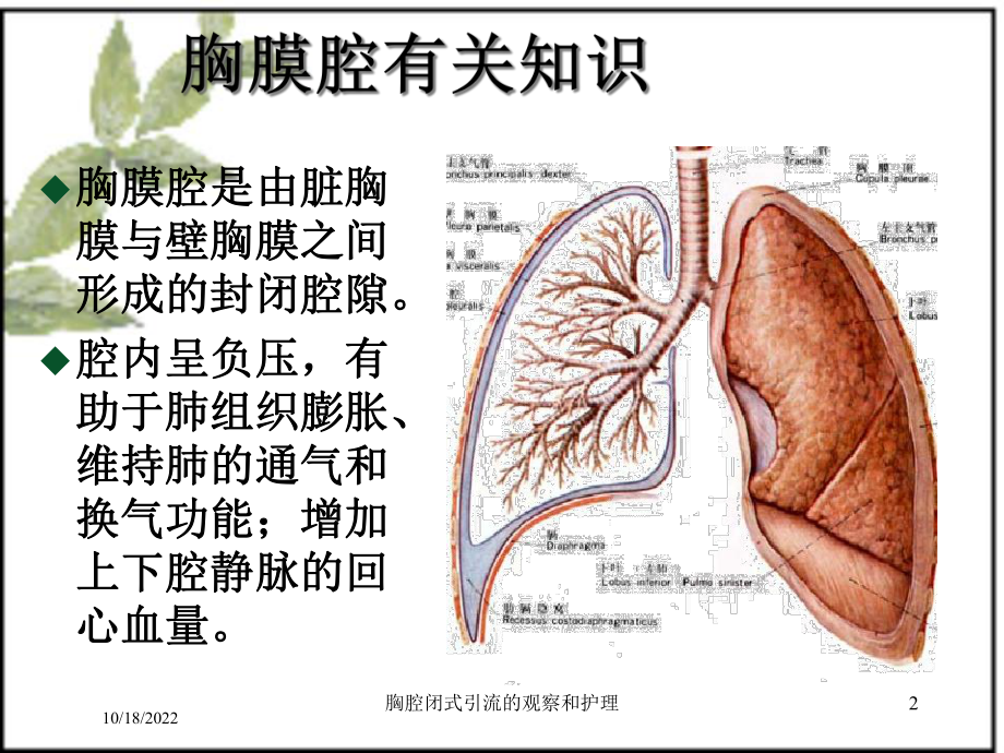 胸腔闭式引流的观察和护理培训课件.ppt_第2页