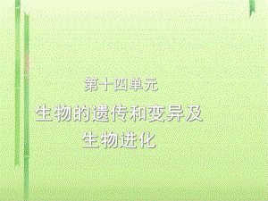 中考生物复习第十四单元：生物的遗传和变异及生物的进化-北师大版课件.ppt