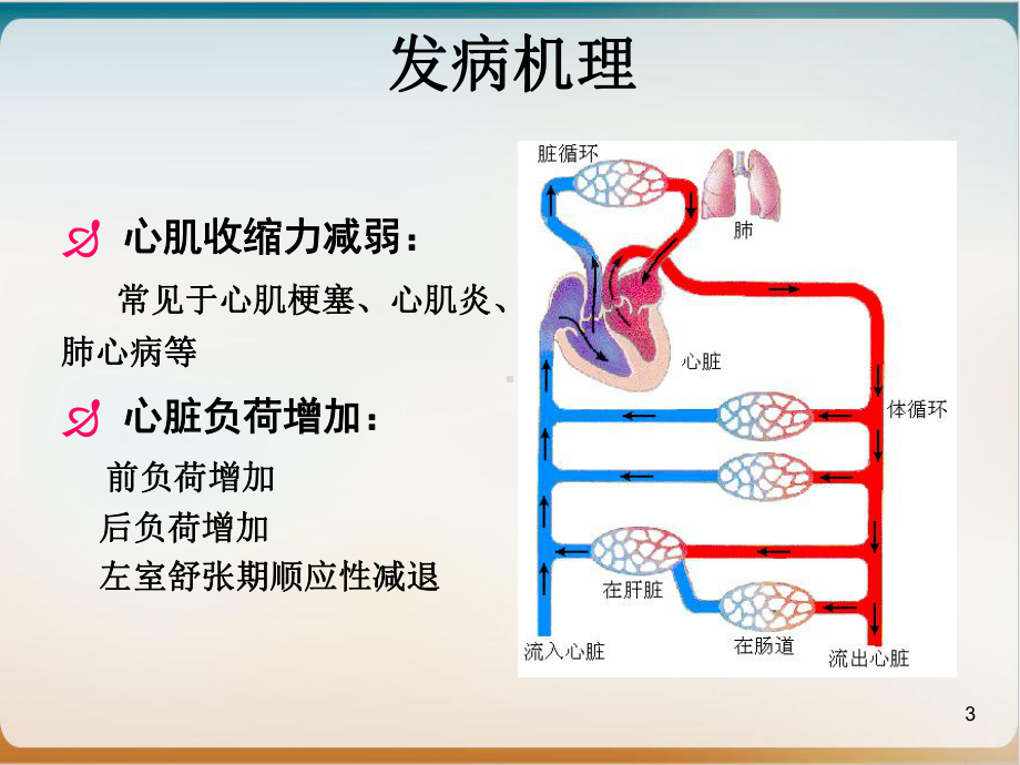 药理学课件之治疗心力衰竭的药物.ppt_第3页