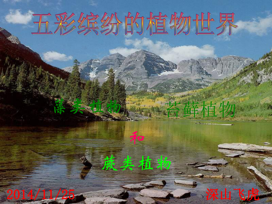 藻类苔癣和蕨类植物最全课件.ppt_第2页