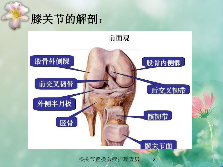 膝关节置换医疗护理查房培训课件.ppt_第2页