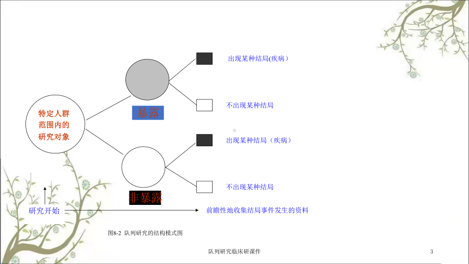 队列研究临床研课件.ppt_第3页