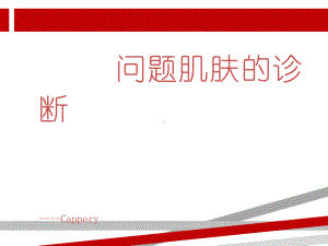 问题肌肤诊断课件.ppt