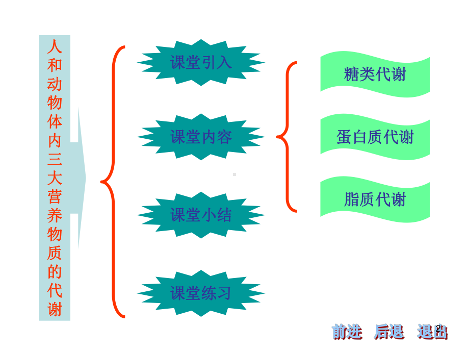 人和动物体内三大营养物质的代谢1-精选篇1286教学课件.ppt_第2页