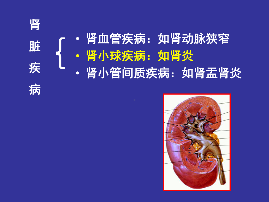 肾小球疾病-中医课件.pptx_第2页