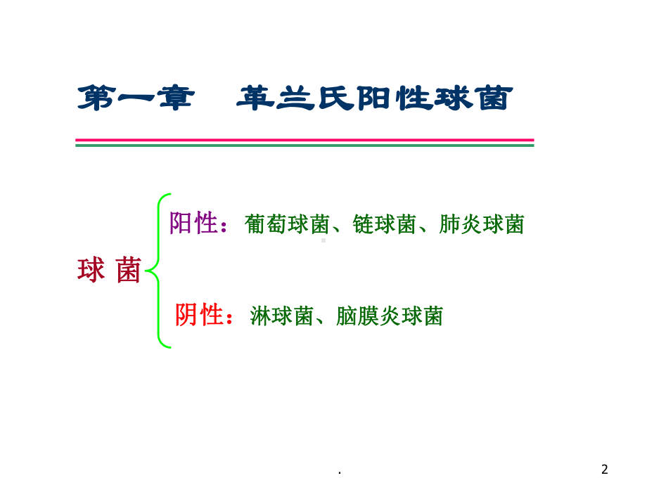 革兰阳性球菌课件.ppt_第2页