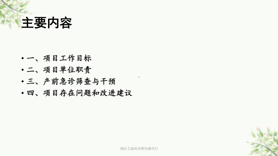 预防艾滋病母婴传播项目课件.ppt_第2页