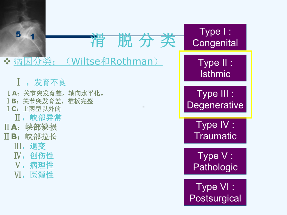 脊柱生理功能及腰椎滑脱治疗课件.ppt_第3页