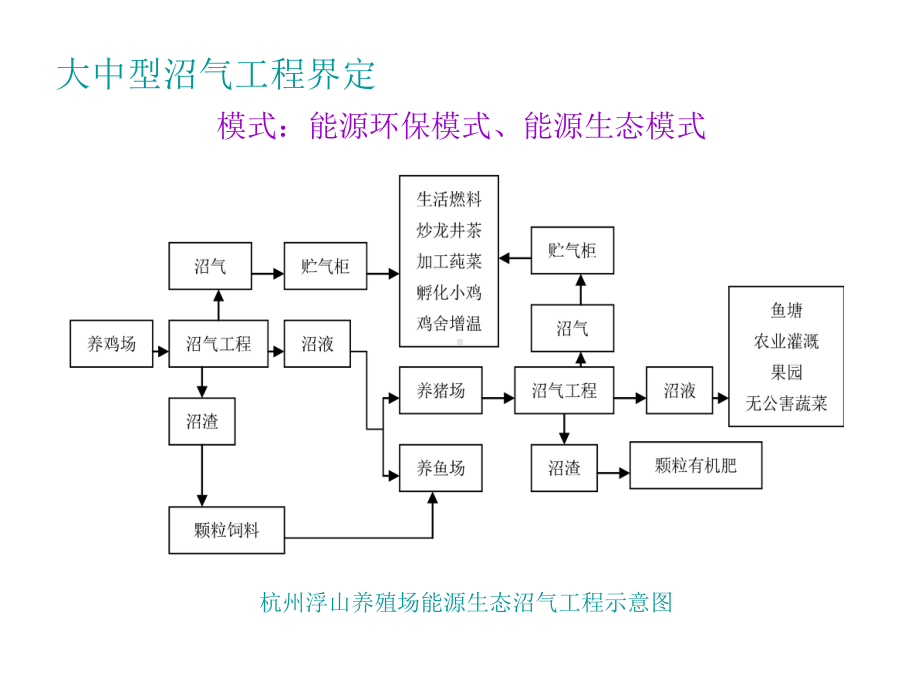 沼气工程技术与实例分析2-大中型沼气工程技课件.ppt_第2页