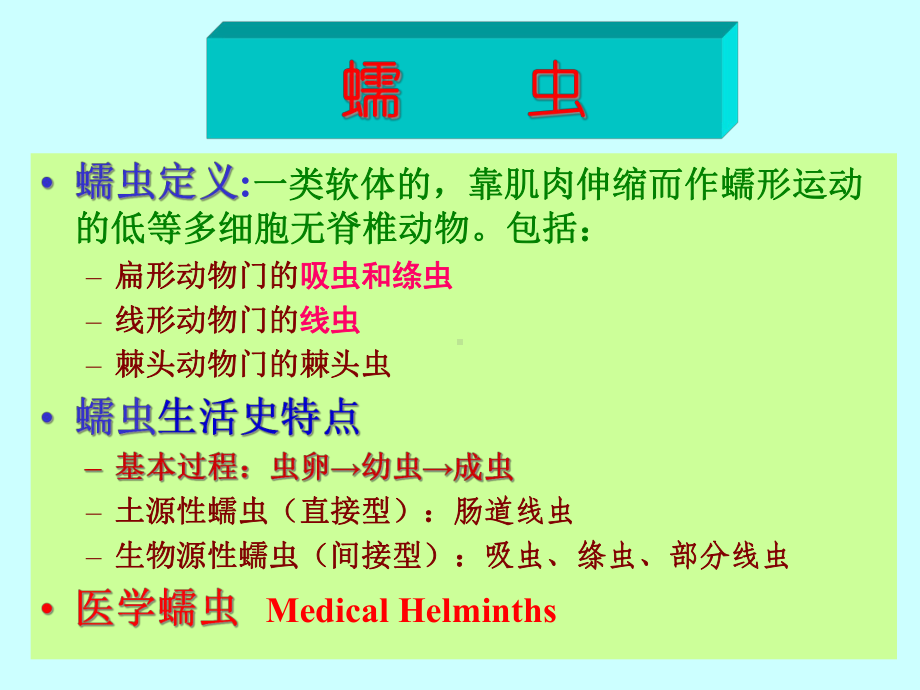 线虫概述及蛔虫课件.ppt_第2页