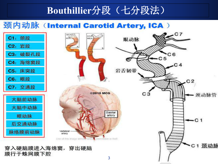 脑血管解剖及DSA阅片解读课件.ppt_第3页