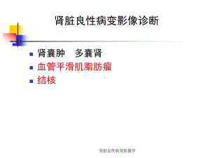 肾脏良性病变影像学课件.ppt