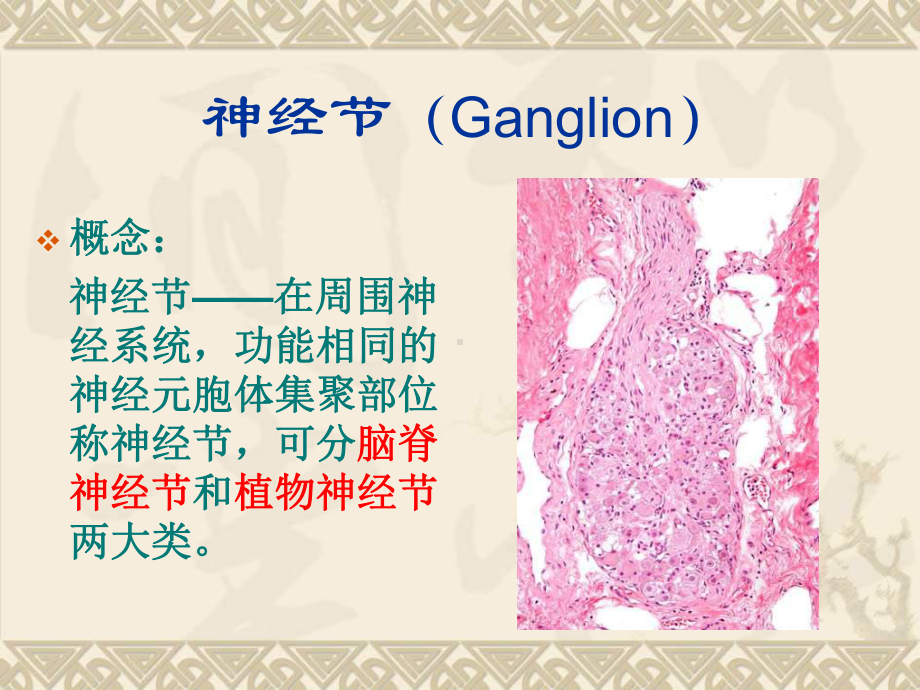 神经节来源肿瘤课件.ppt_第3页