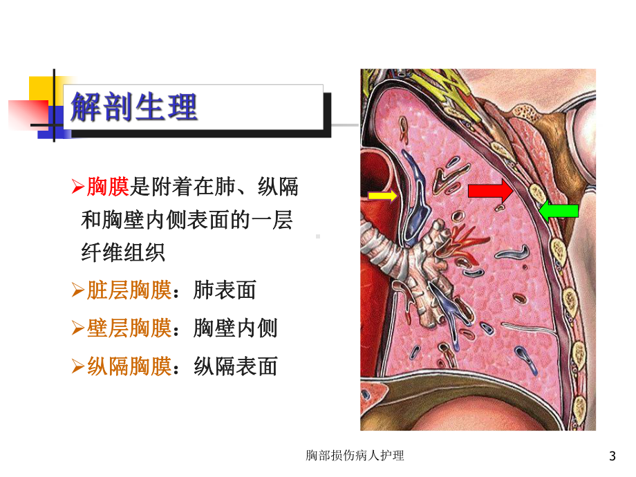 胸部损伤病人护理课件.ppt_第3页