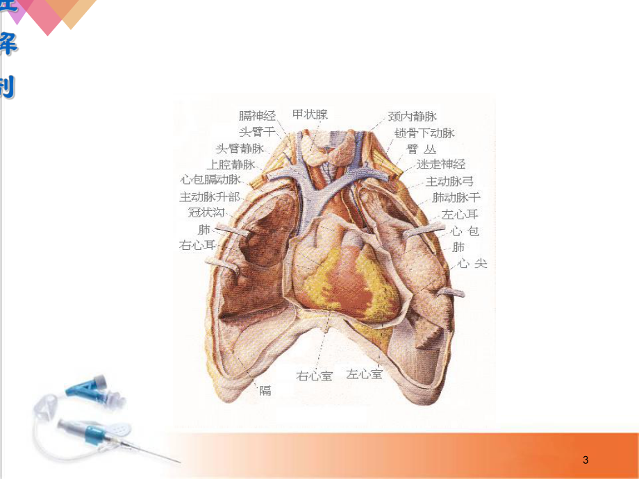 小儿先天性心脏病超声诊断(课堂)课件.ppt_第3页