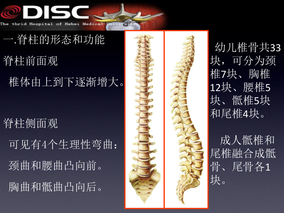 脊柱常见疾病与手术汇编课件.ppt_第2页