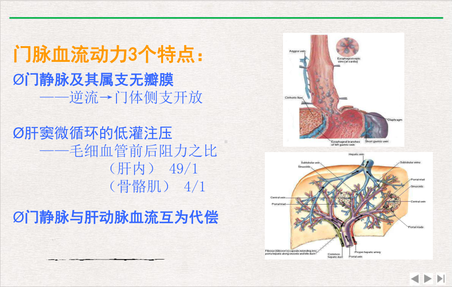 门静脉高压症出血内外科治疗进展完美版课件.pptx_第2页