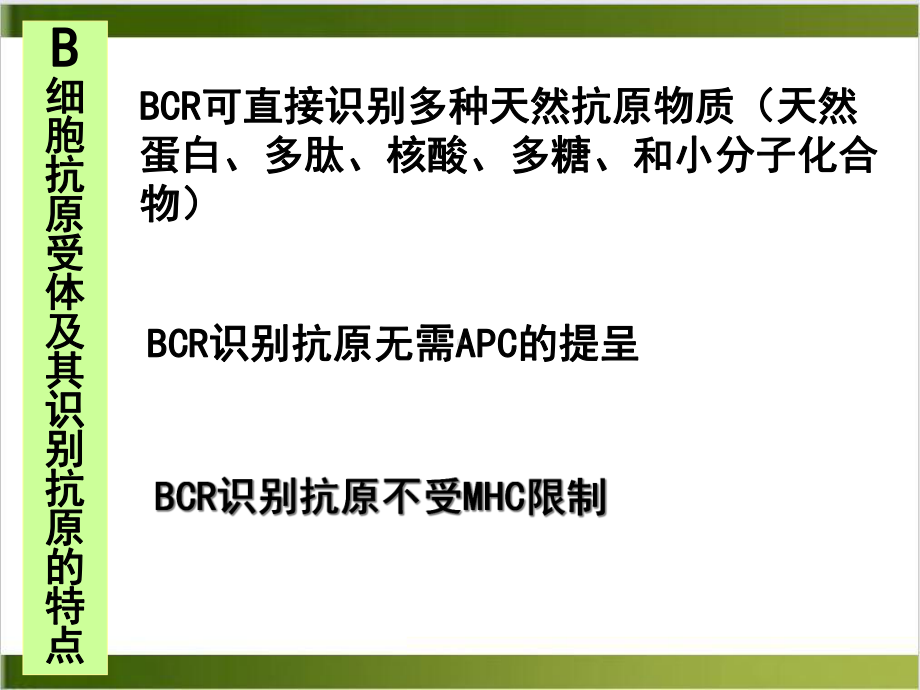 适应性免疫B细胞体液免疫课件.ppt_第2页