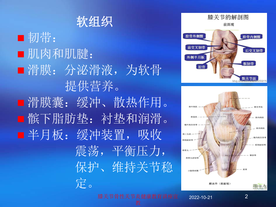 膝关节骨性关节炎健康教育讲座宣教培训课件.ppt_第2页