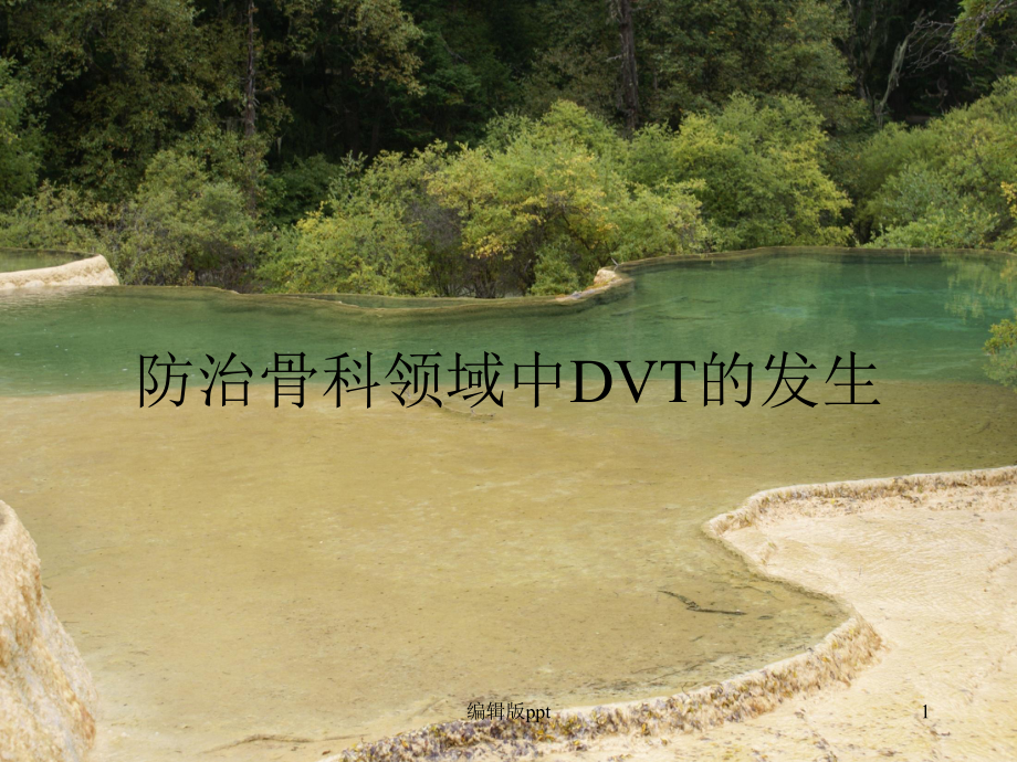 防治骨科领域中DVT的发生课件.ppt_第1页