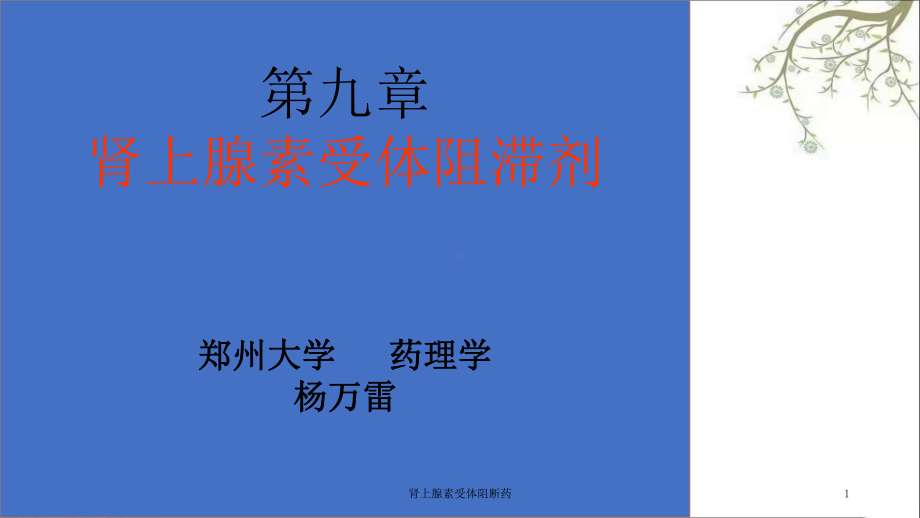 肾上腺素受体阻断药课件.ppt_第1页