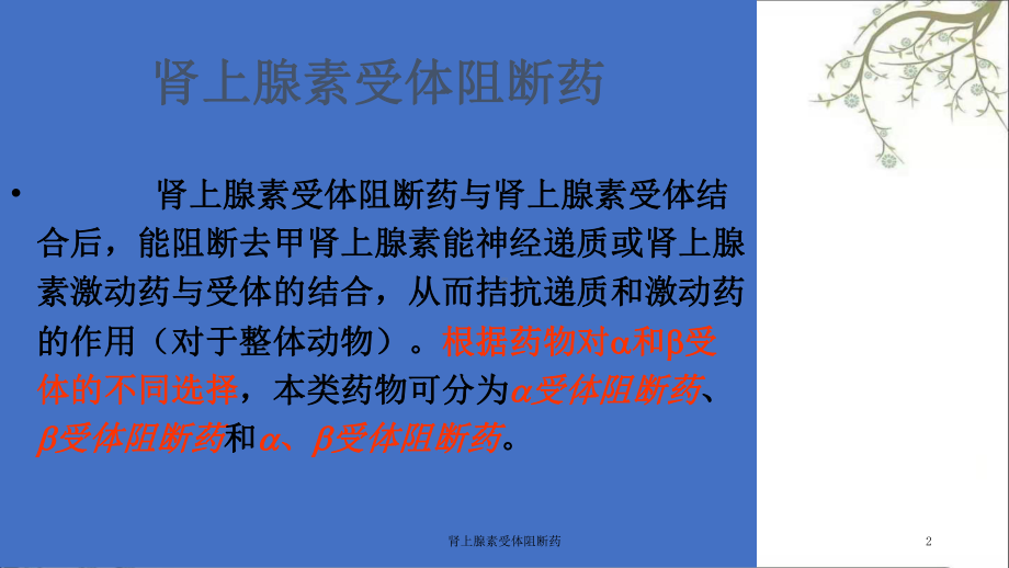 肾上腺素受体阻断药课件.ppt_第2页