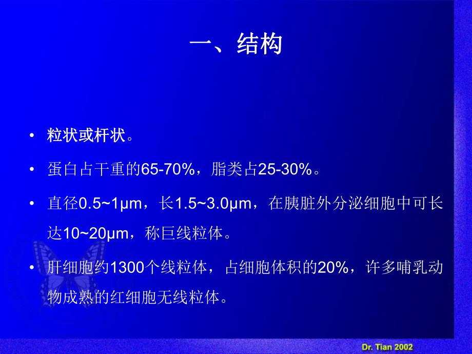 生物竞赛课件：线粒体与叶绿体.ppt_第3页