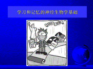 学习及记忆的神经生物学基础课件.ppt