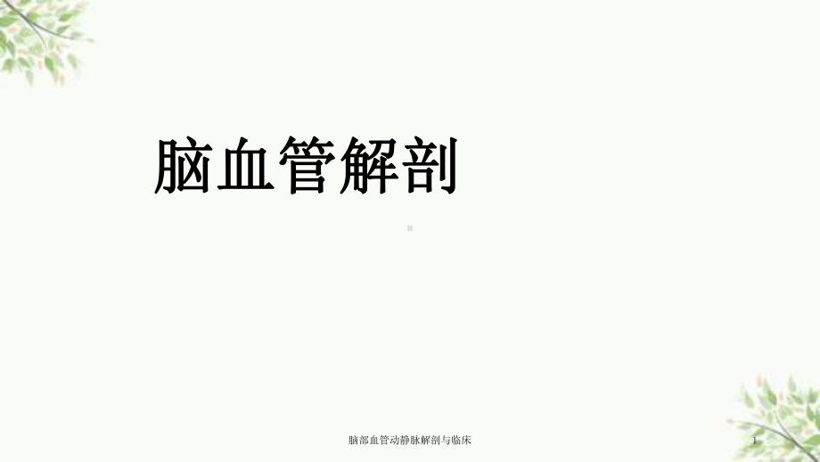 脑部血管动静脉解剖与临床课件.ppt_第1页