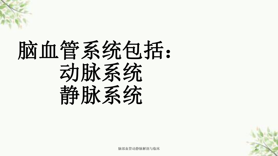 脑部血管动静脉解剖与临床课件.ppt_第2页