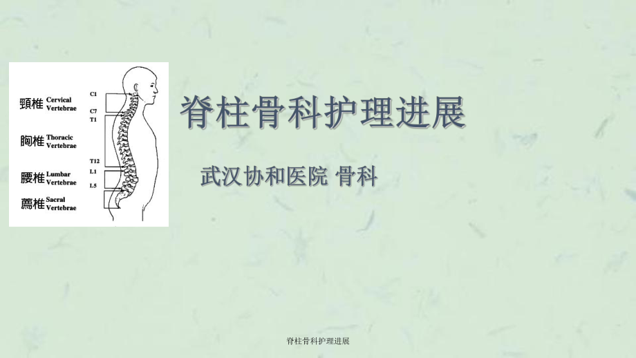 脊柱骨科护理进展课件.ppt_第1页