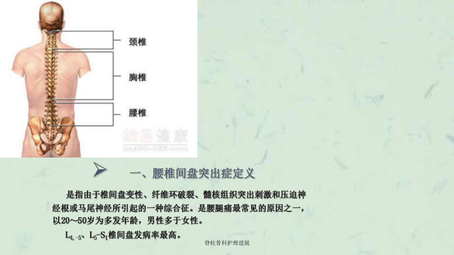 脊柱骨科护理进展课件.ppt_第3页